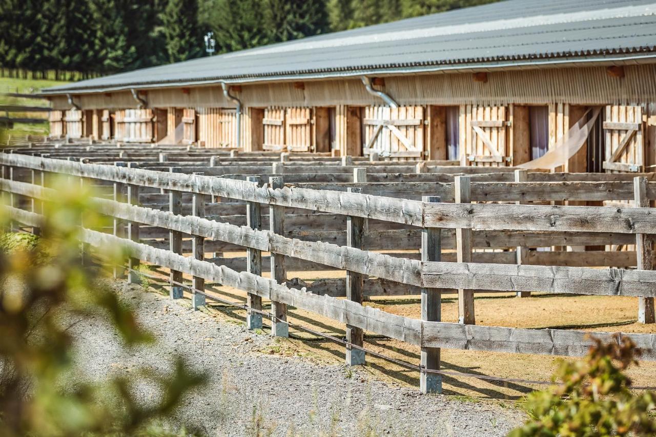 Ranchhouse Smoker- Westernstable - Horse Elterlein Exteriör bild